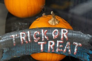 Spooky Savings & Sweet Finds: Thrift Your Halloween at The Dog Box
